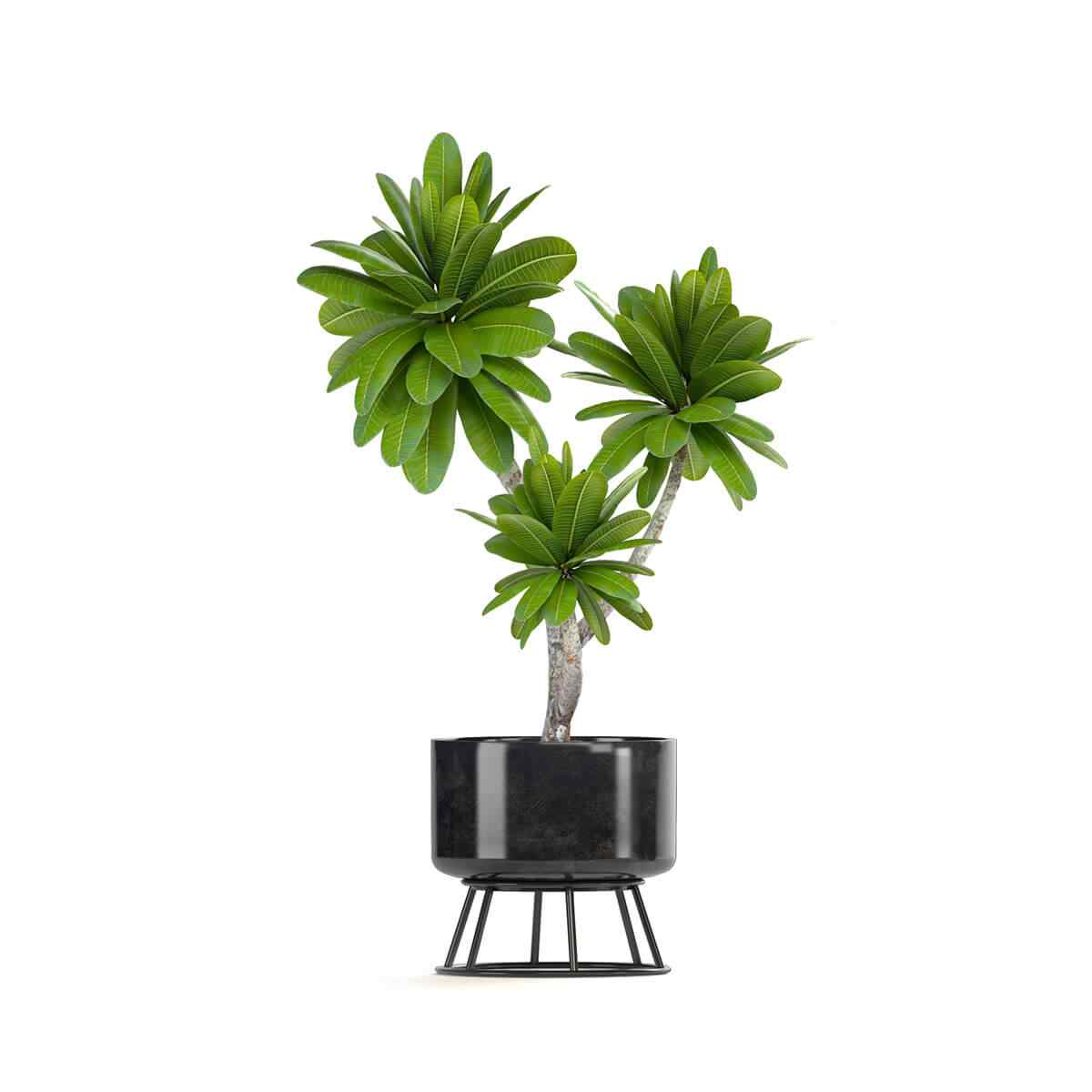https://edringtongreenscapes.com/wp-content/uploads/2018/09/product_08.jpg