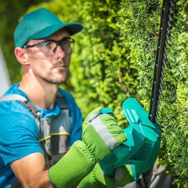 https://edringtongreenscapes.com/wp-content/uploads/2019/08/team_05-640x640.jpg